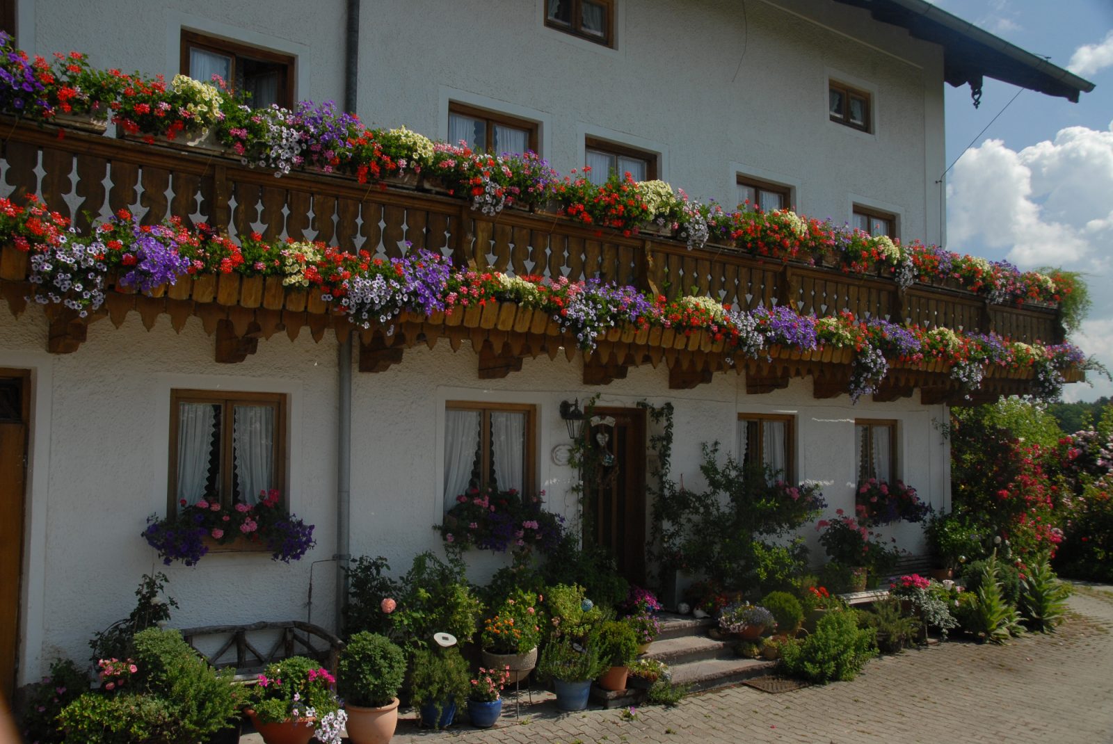 Balkonske rože so majhen detajl, ki naredi veliko razliko.